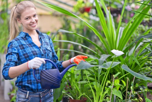 Professional gardener maintaining a Limehouse outdoor space
