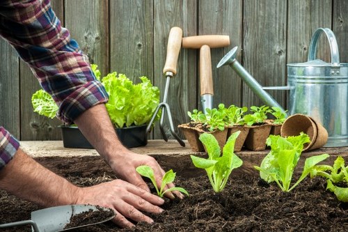 Gardening tools and a maintained outdoor area representing the first service agreement section