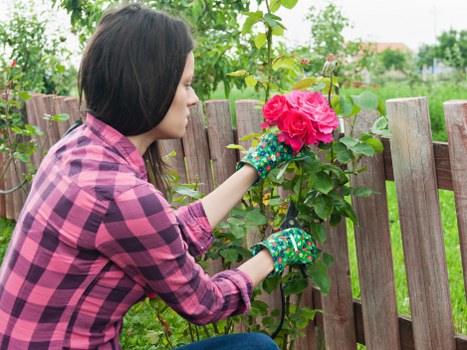 Healthy residential lawn care in Limehouse with neat green grass