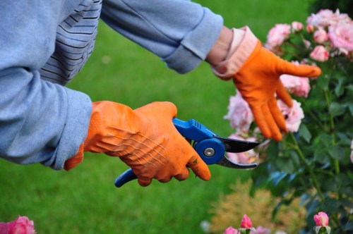 Urban Limehouse lawn treatment improving turf health and appearance
