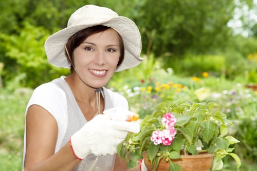 Illustration representing accessible Gardeners Limehouse content and inclusive browsing