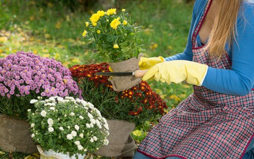 Load-based pricing for garden maintenance in Limehouse