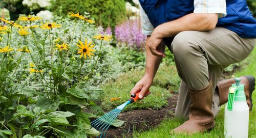 Regular grass cutting for a healthy Limehouse lawn