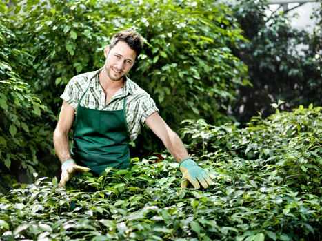Marketing cookie explanation for Gardeners Limehouse website