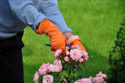 Local gardening team providing tailored care in Limehouse