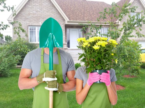 Limehouse garden care with seasonal planting and lawn maintenance