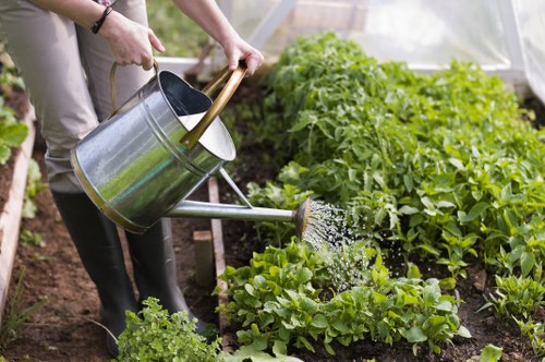 A cleared urban garden space in Limehouse after waste and debris removal