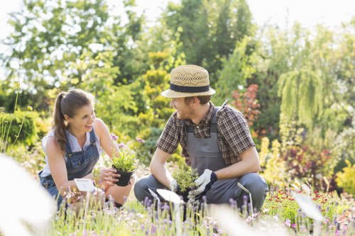 Professional garden maintenance in Limehouse for lawns and shrubs