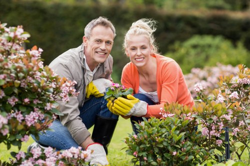 Seasonal lawn mowing service in Limehouse