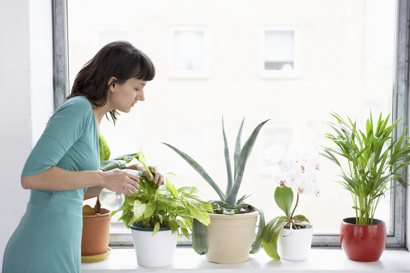 irrigation system garden