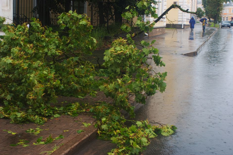 Same day gardeners Limehouse for urgent storm damage
